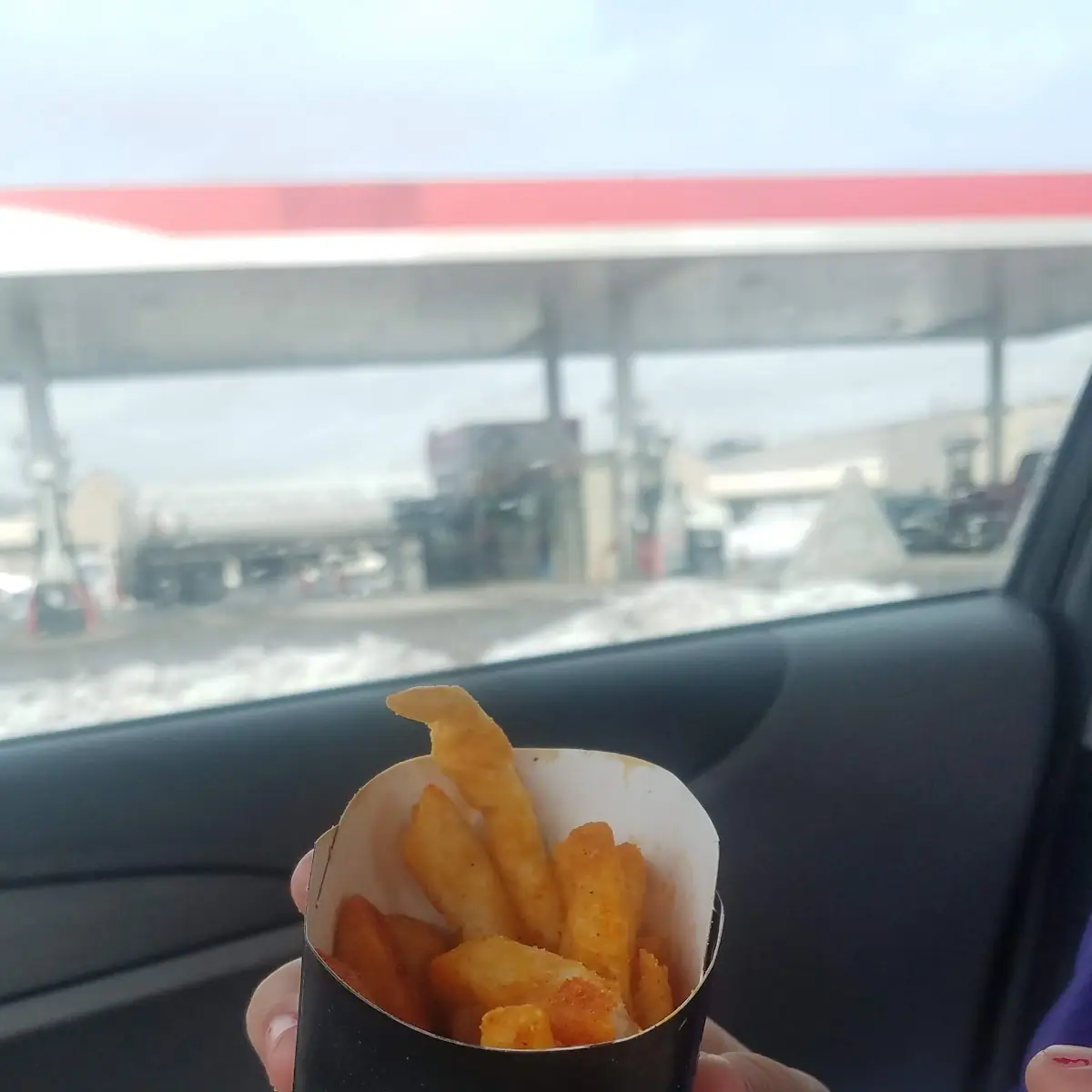 Nacho Fries