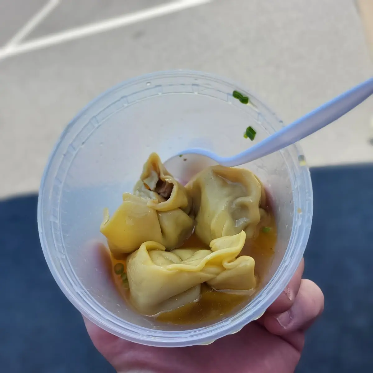 Wonton Soup