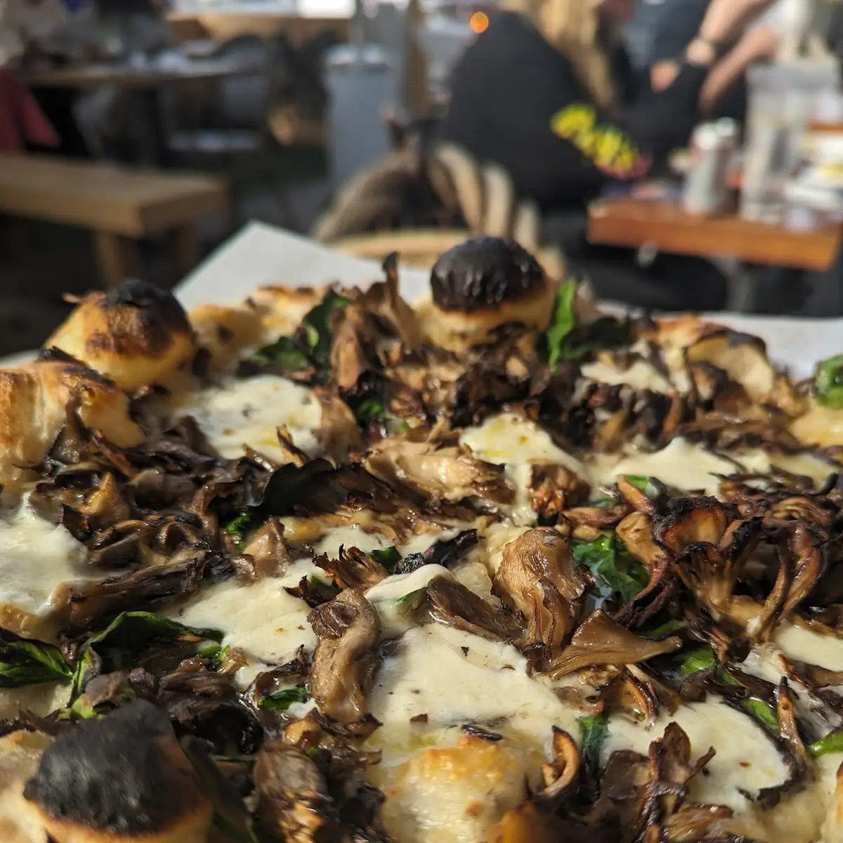 Funghi Pizza