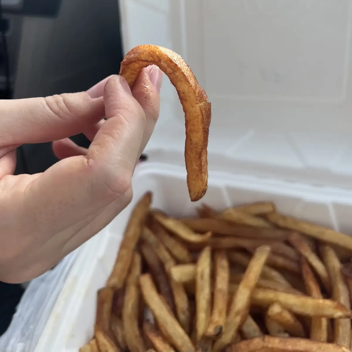 Hand-Cut French Fries