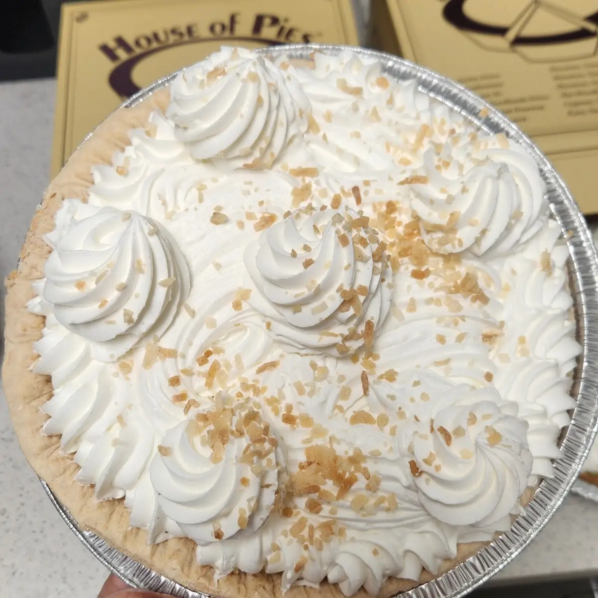 Coconut Cream