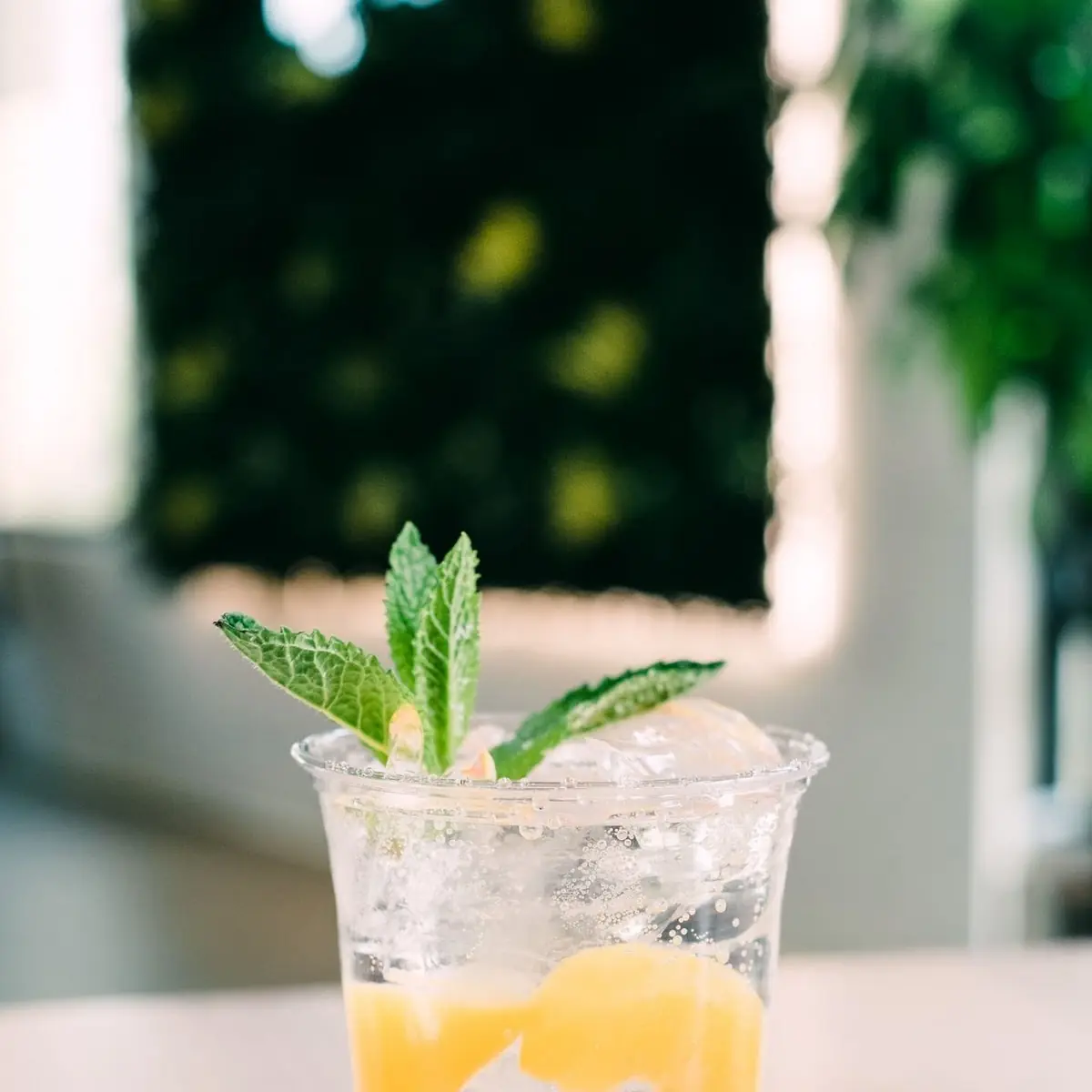 Non-Alcoholic Raspberry Mojito