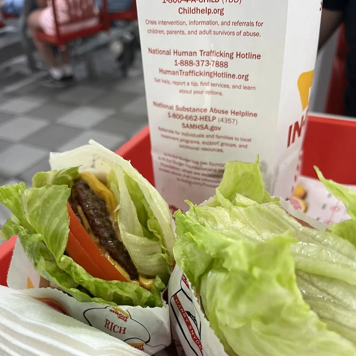 Double Double Cheeseburger Protein Style