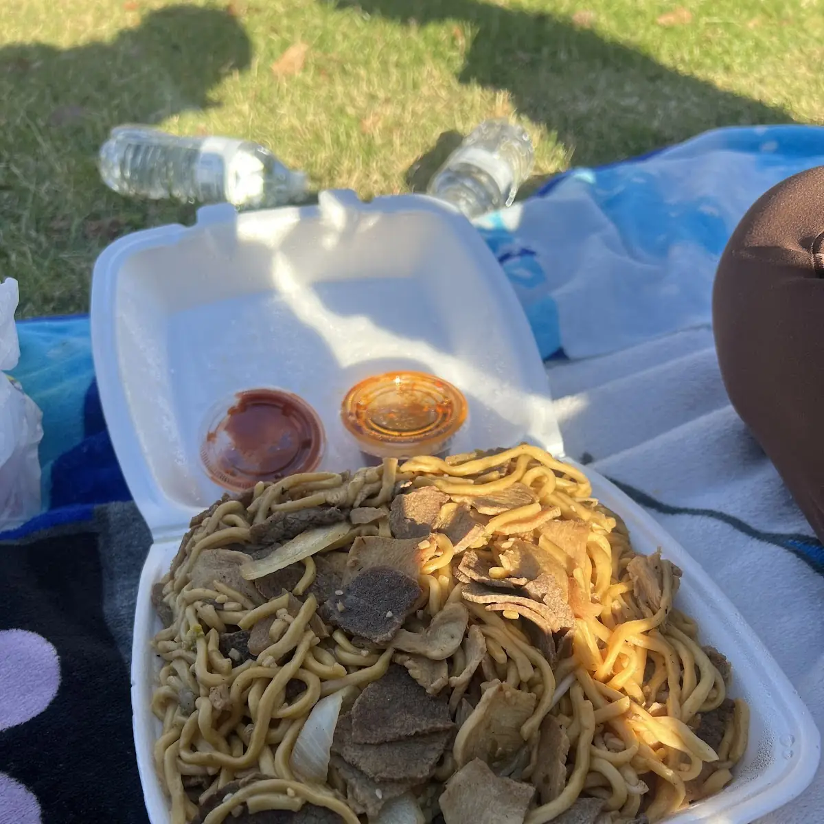 Mongolian Beef and Chicken