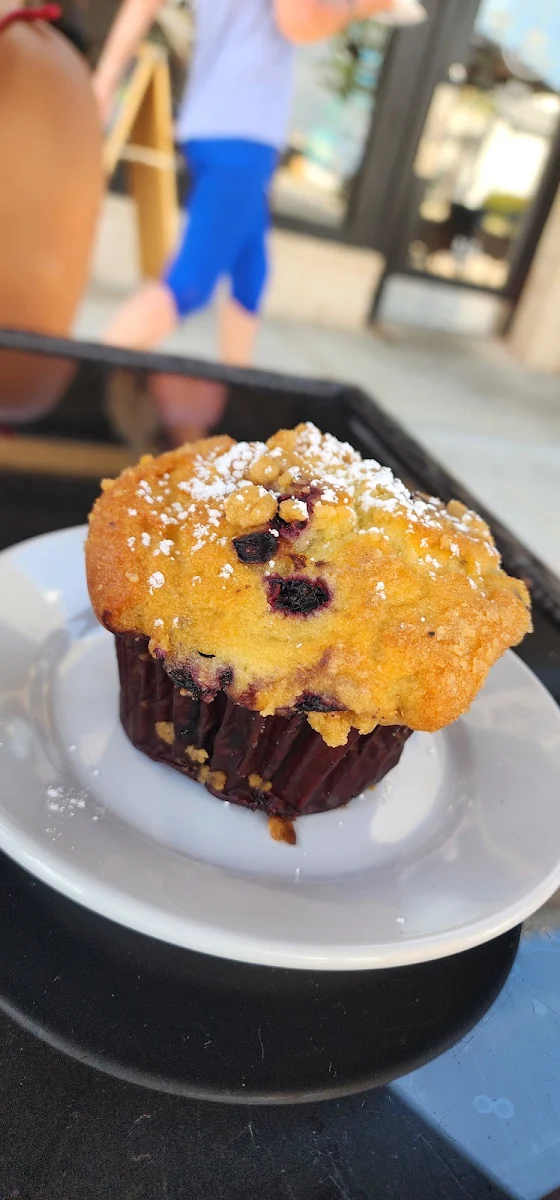 Blueberry Muffin