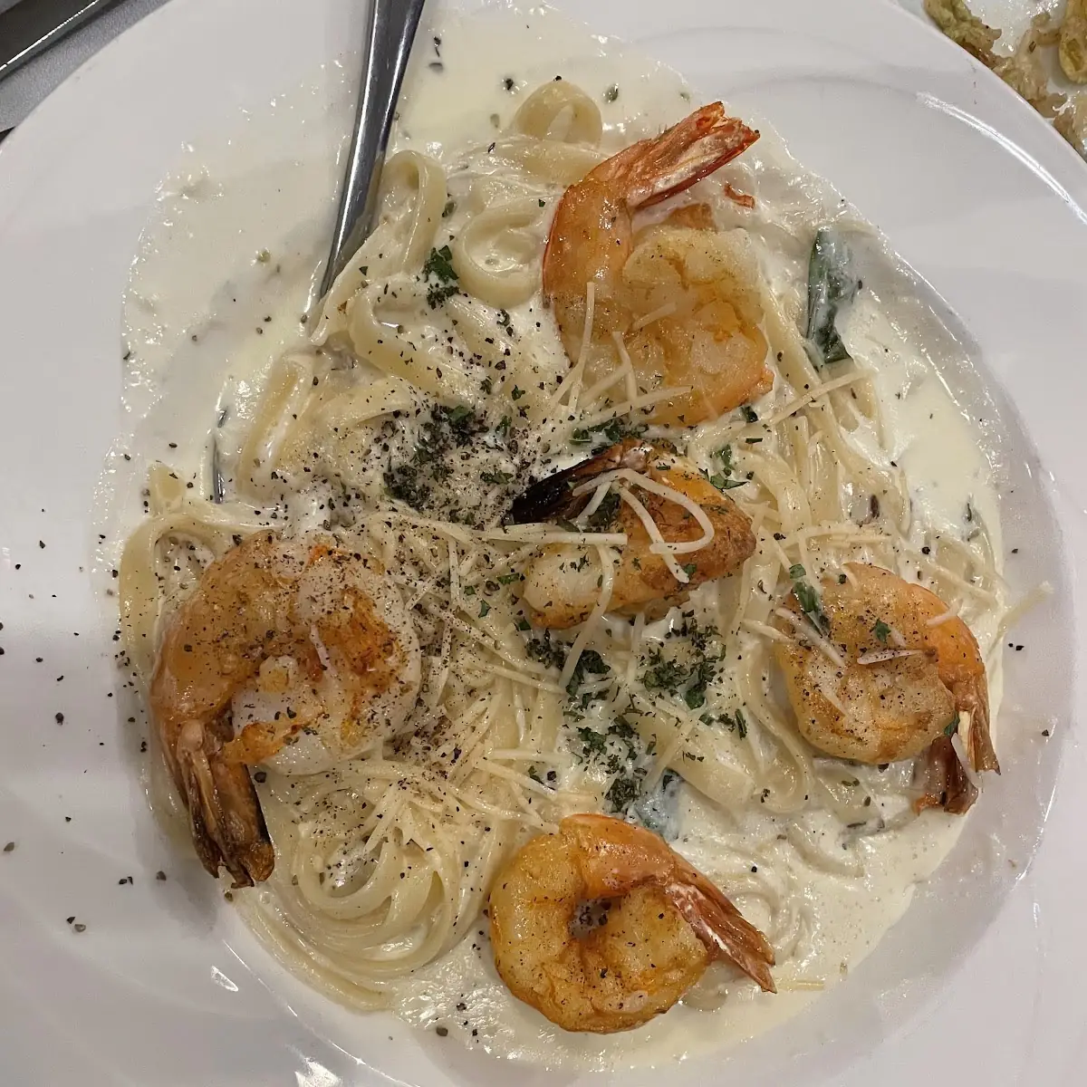 Shrimp Alfredo Pasta