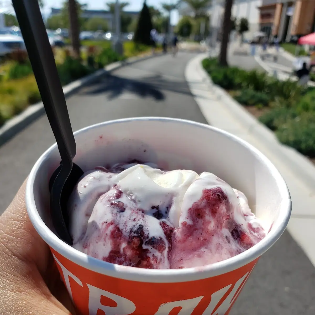 Birthday Cake & Blackberries Ice Cream