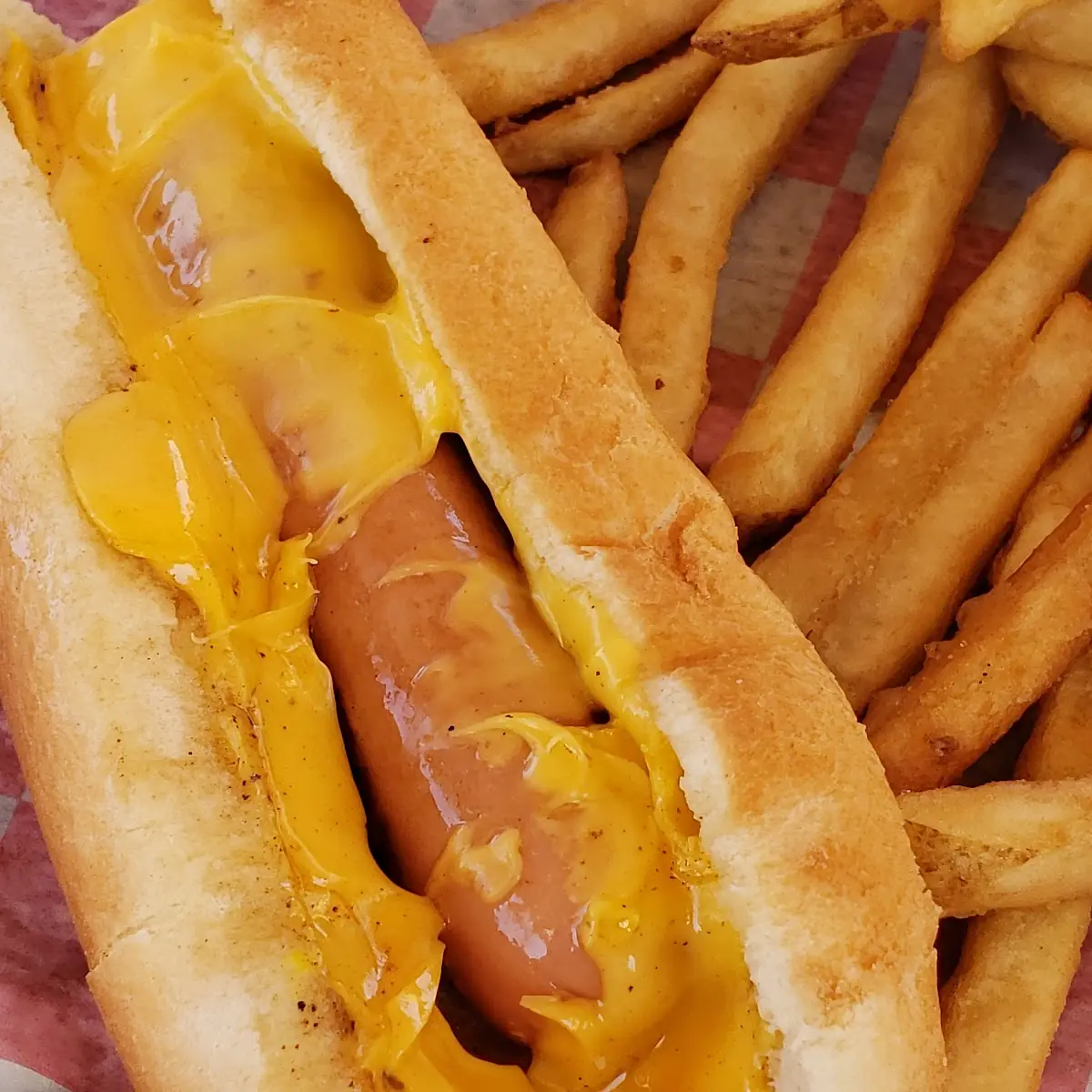 Cheese Dog and Fries