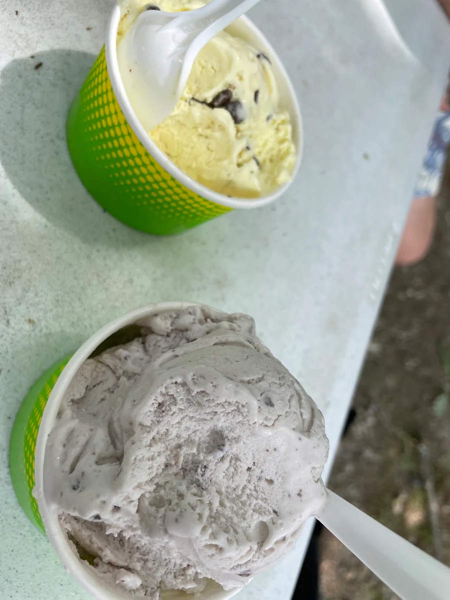 Blueberry and Lemon Chocolate Chip