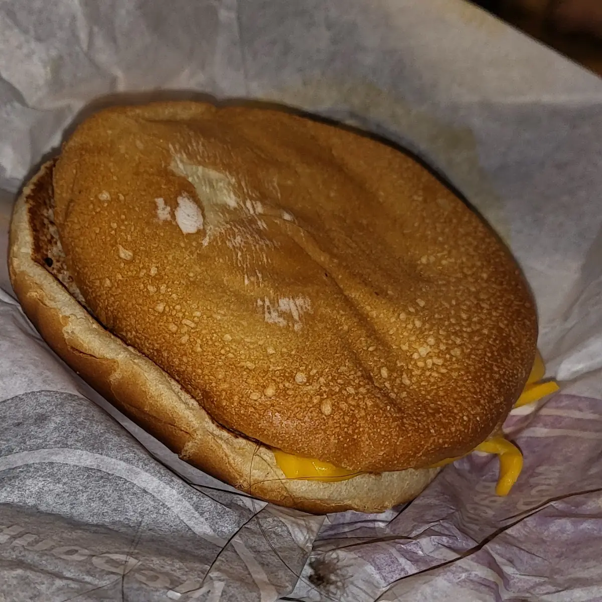 Double Cheeseburger