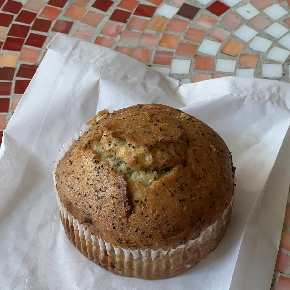 Poppy Seed Muffin
