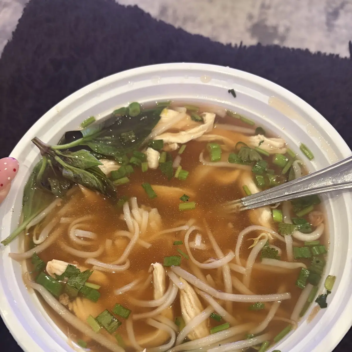 Chicken Pho