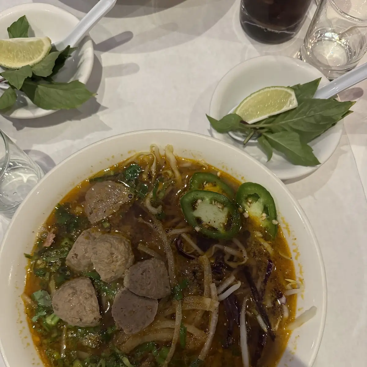 Vietnamese Beef Soup