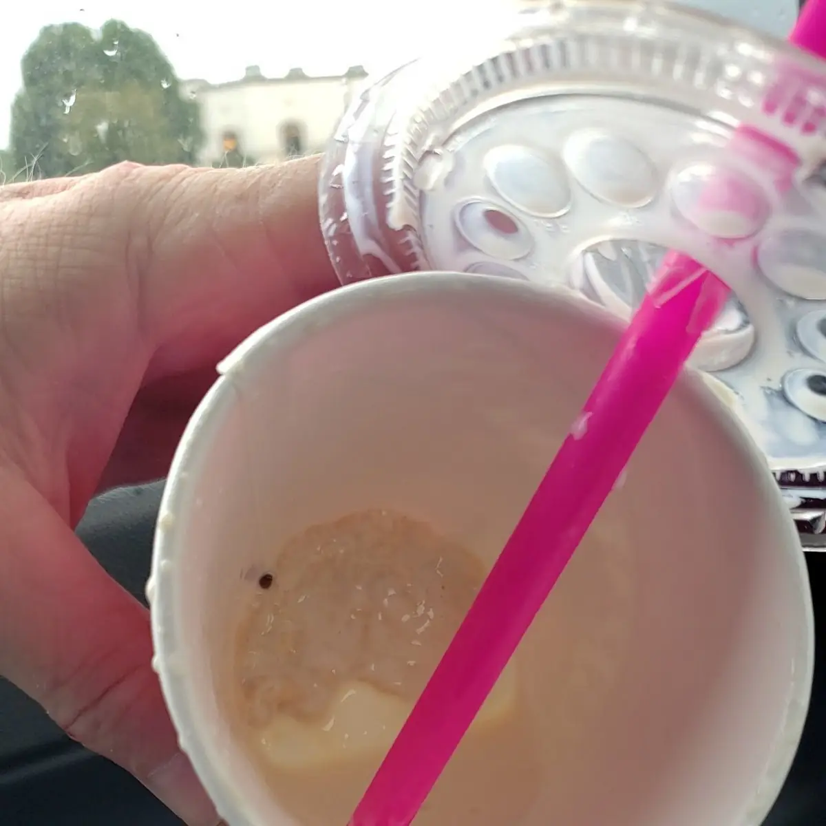 Vanilla Malt