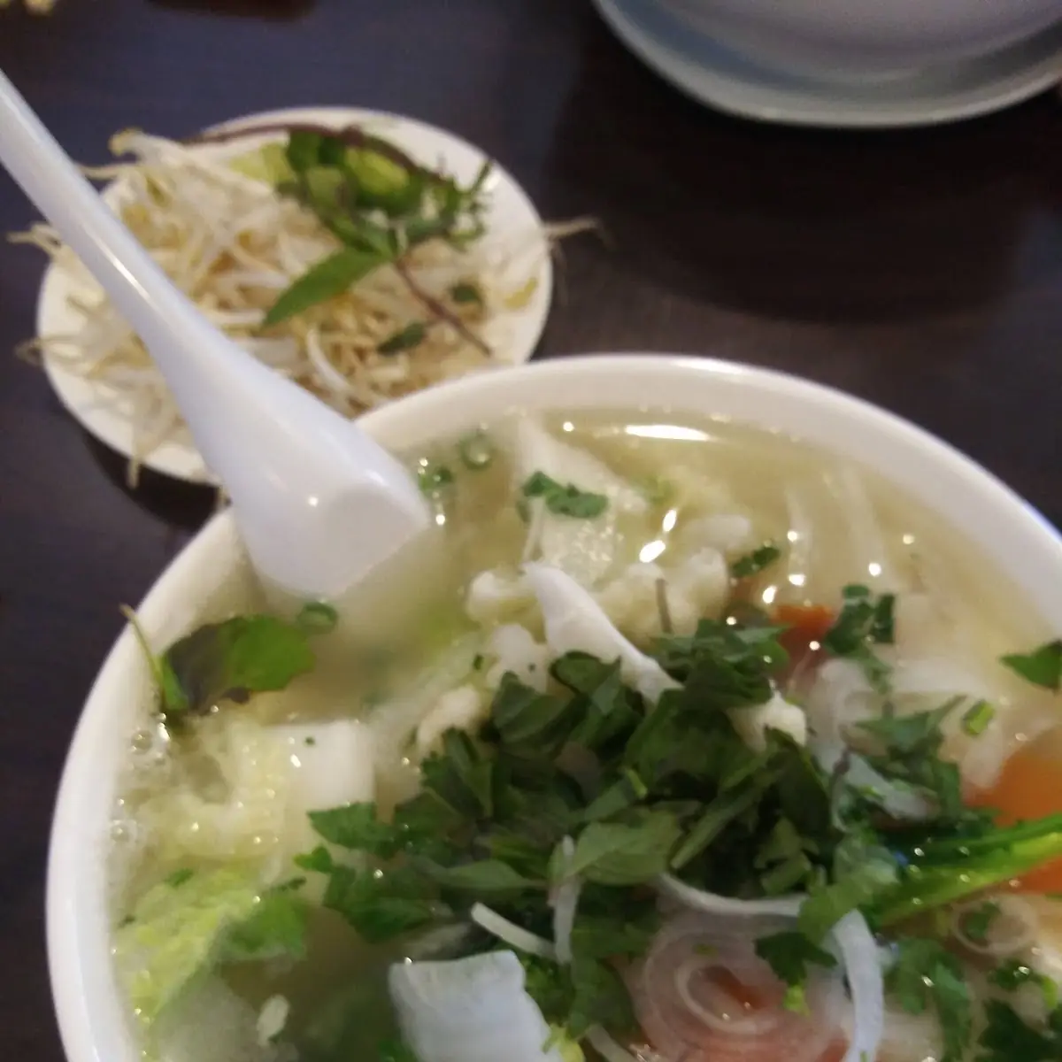 Tofu Vegetable Noodle Soup