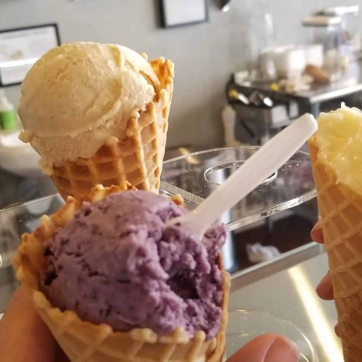 Gelato
