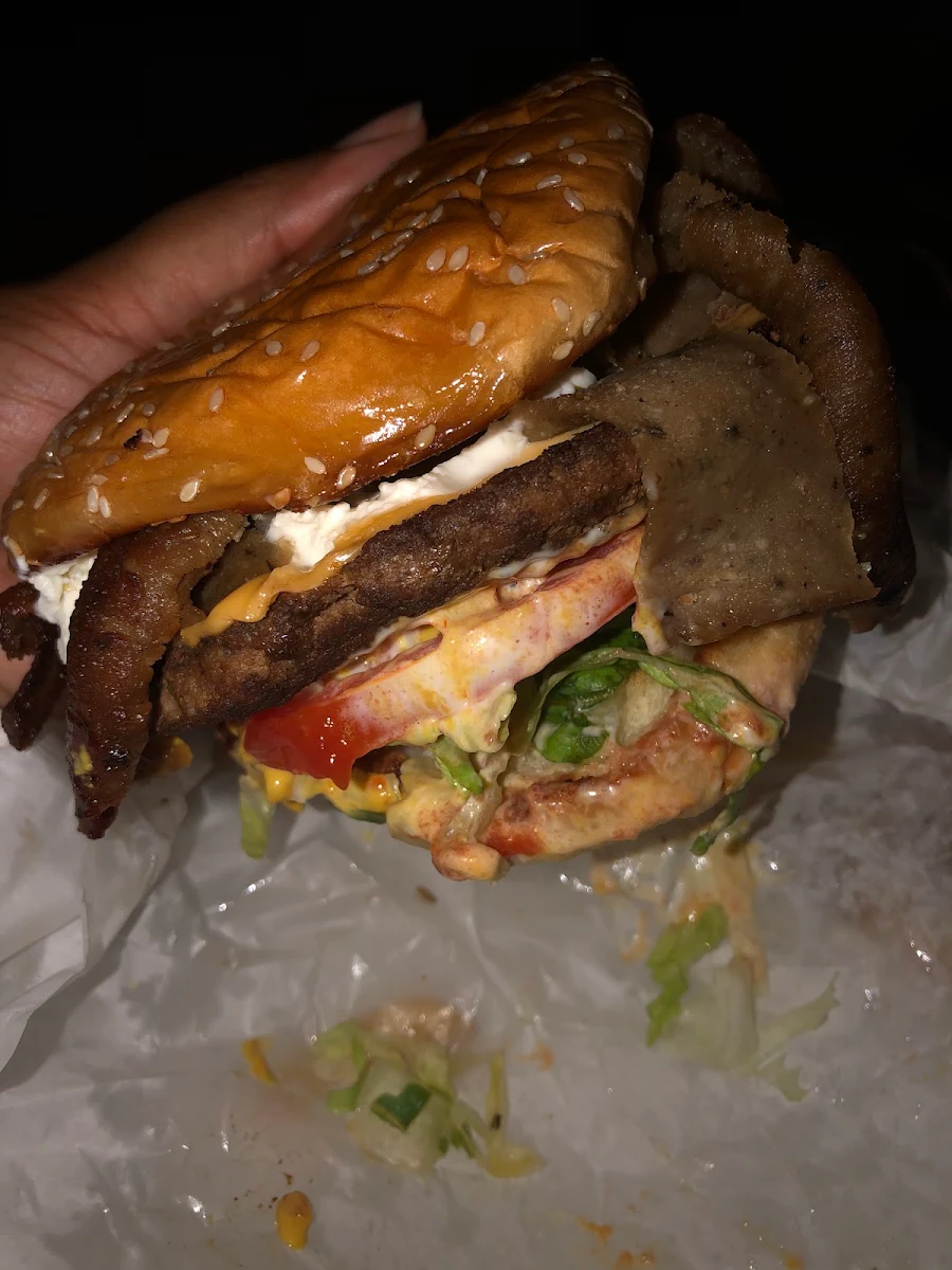 Gyro (1 lb) Chop Steak Burger with Fries