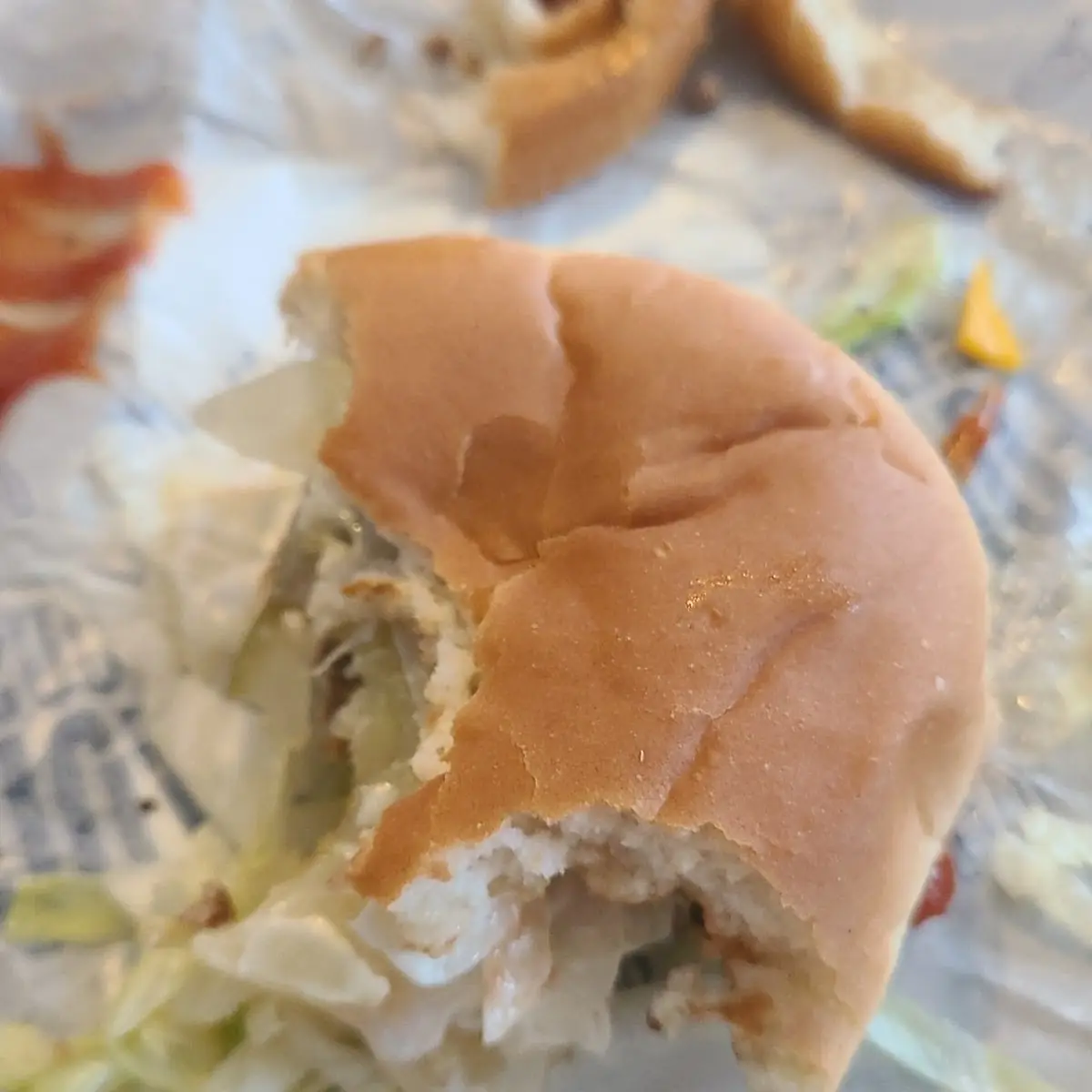 Daily Double Cheeseburger