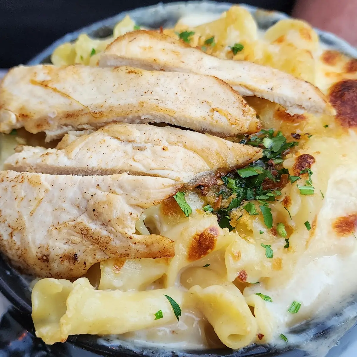 Cajun Chicken Alfredo