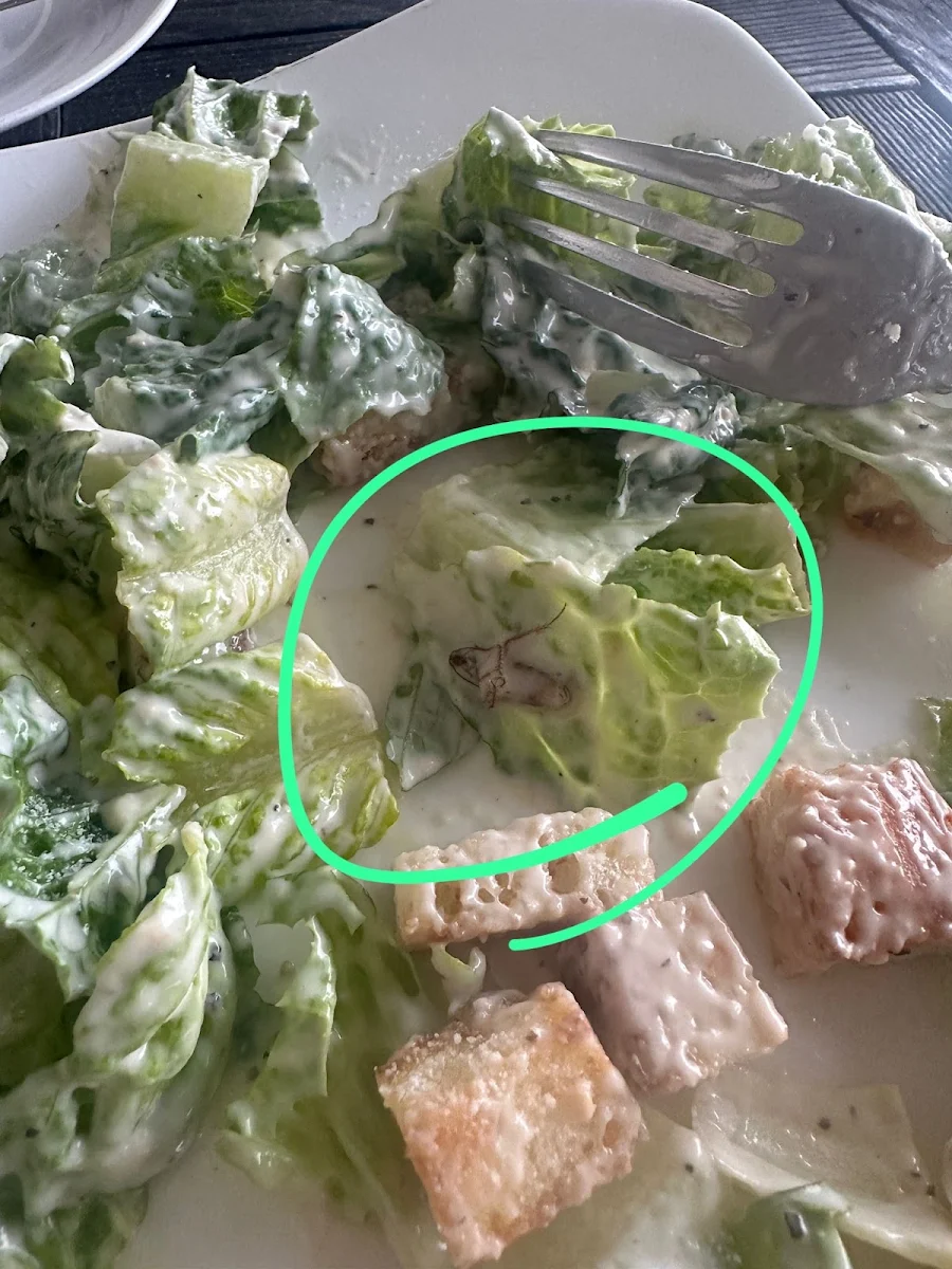 Oreganos Caesar Salad