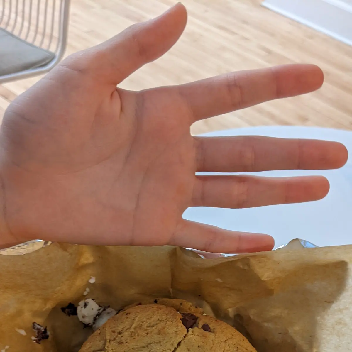 Bunny Tracks Cookie Dough