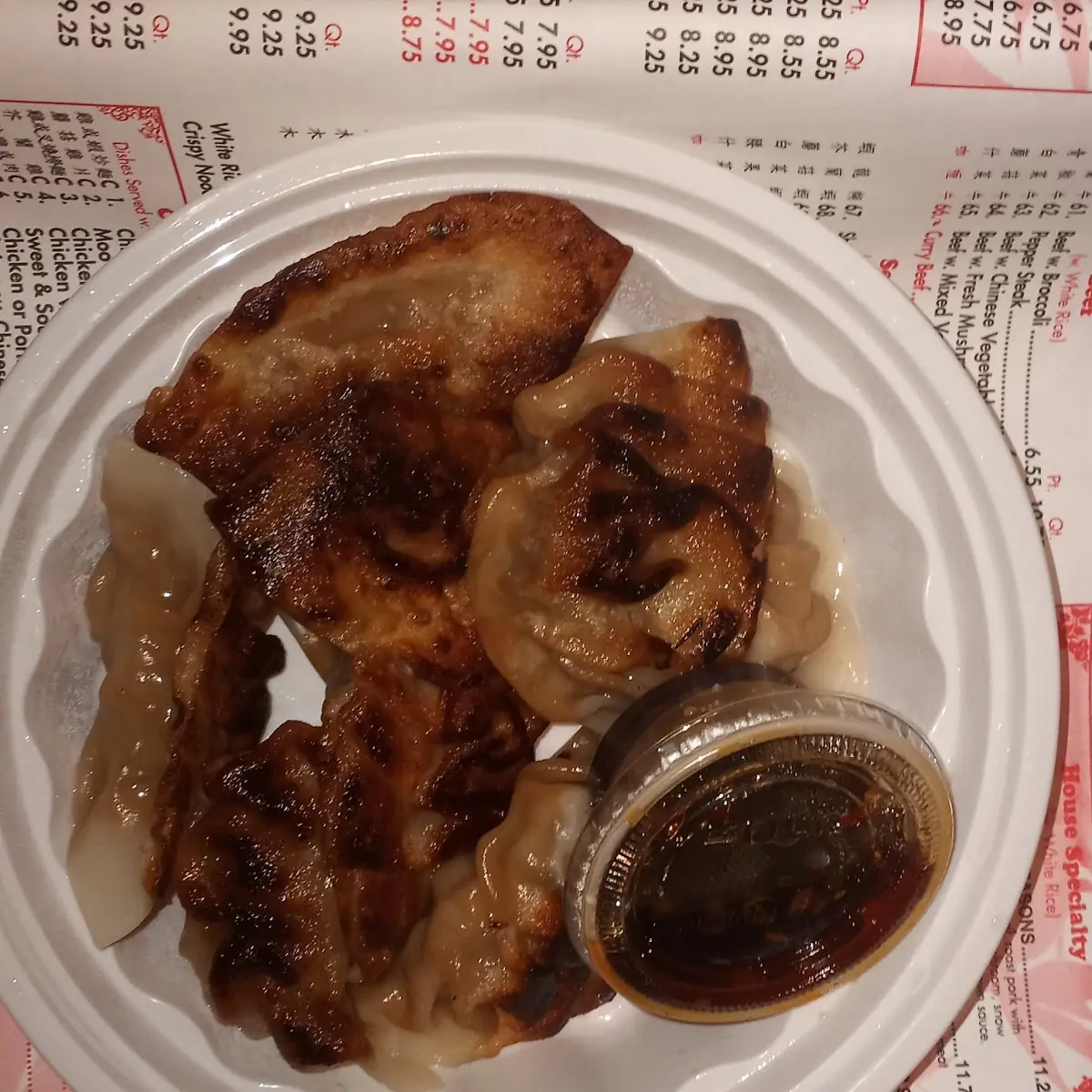 Crispy Gyoza