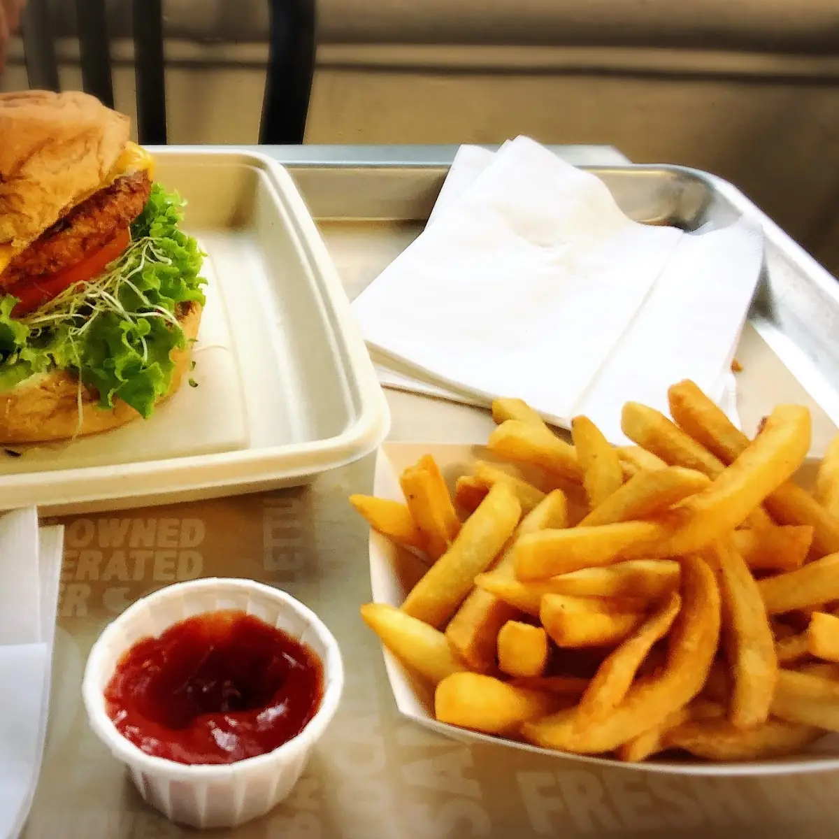 Veggie Burger and Fries