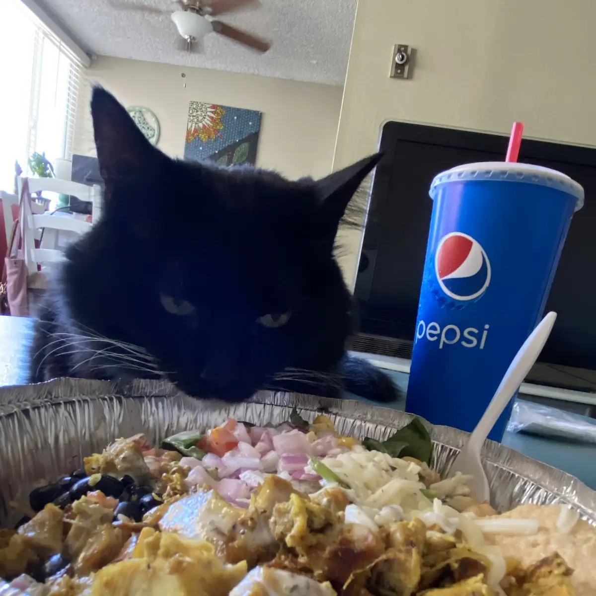 Burrito Bowl