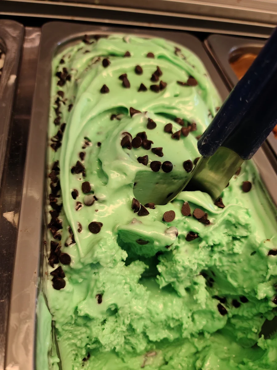 Mint Chocolate Chip Gelato