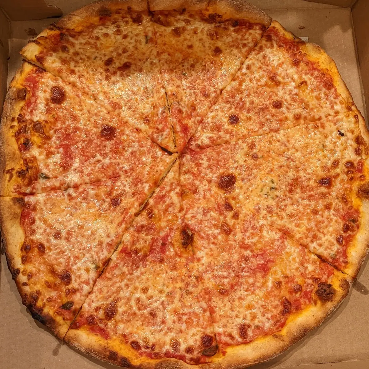 Plain Cheese Pizza