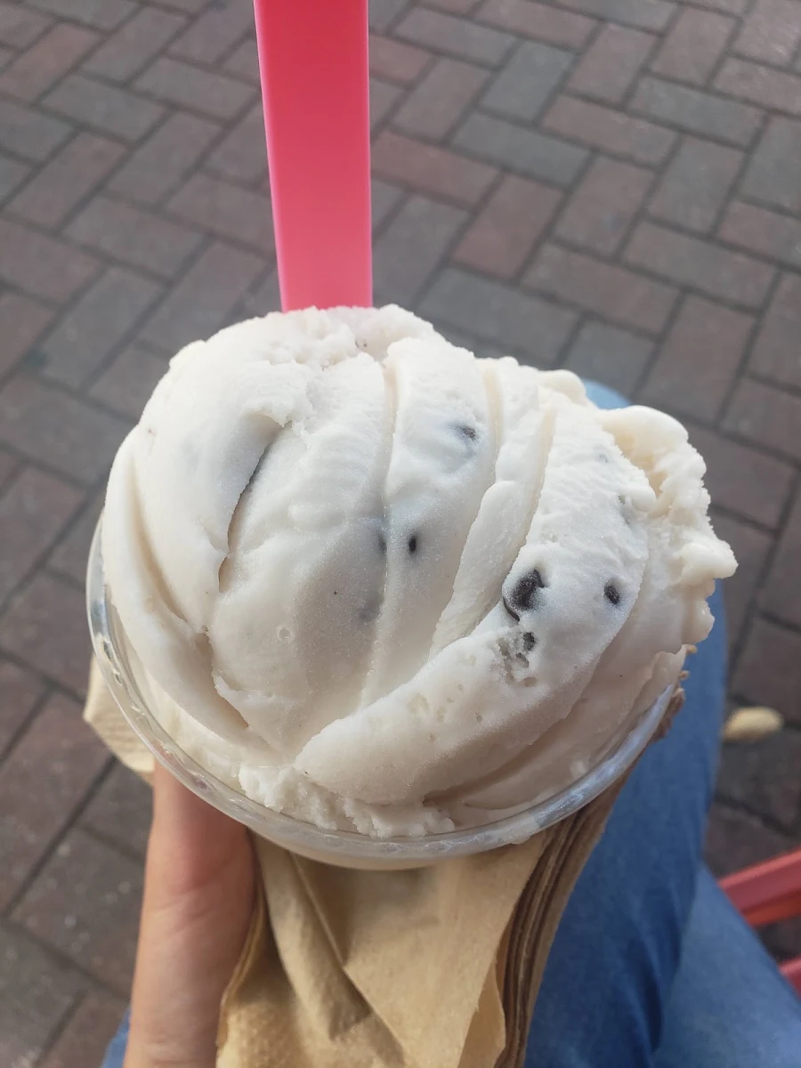 Vegan Mint Chocolate Chip