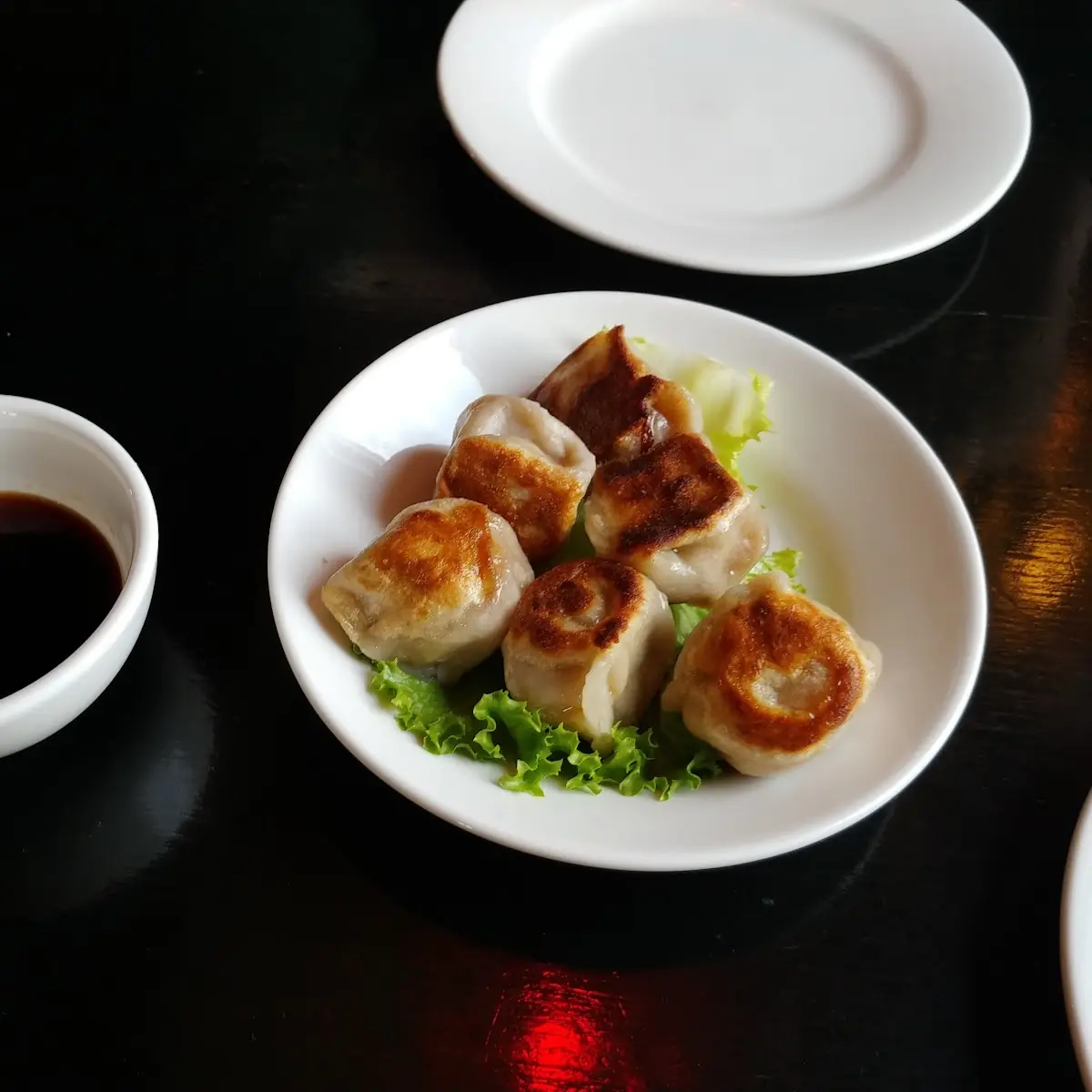 Pan Fried Pork Dumplings