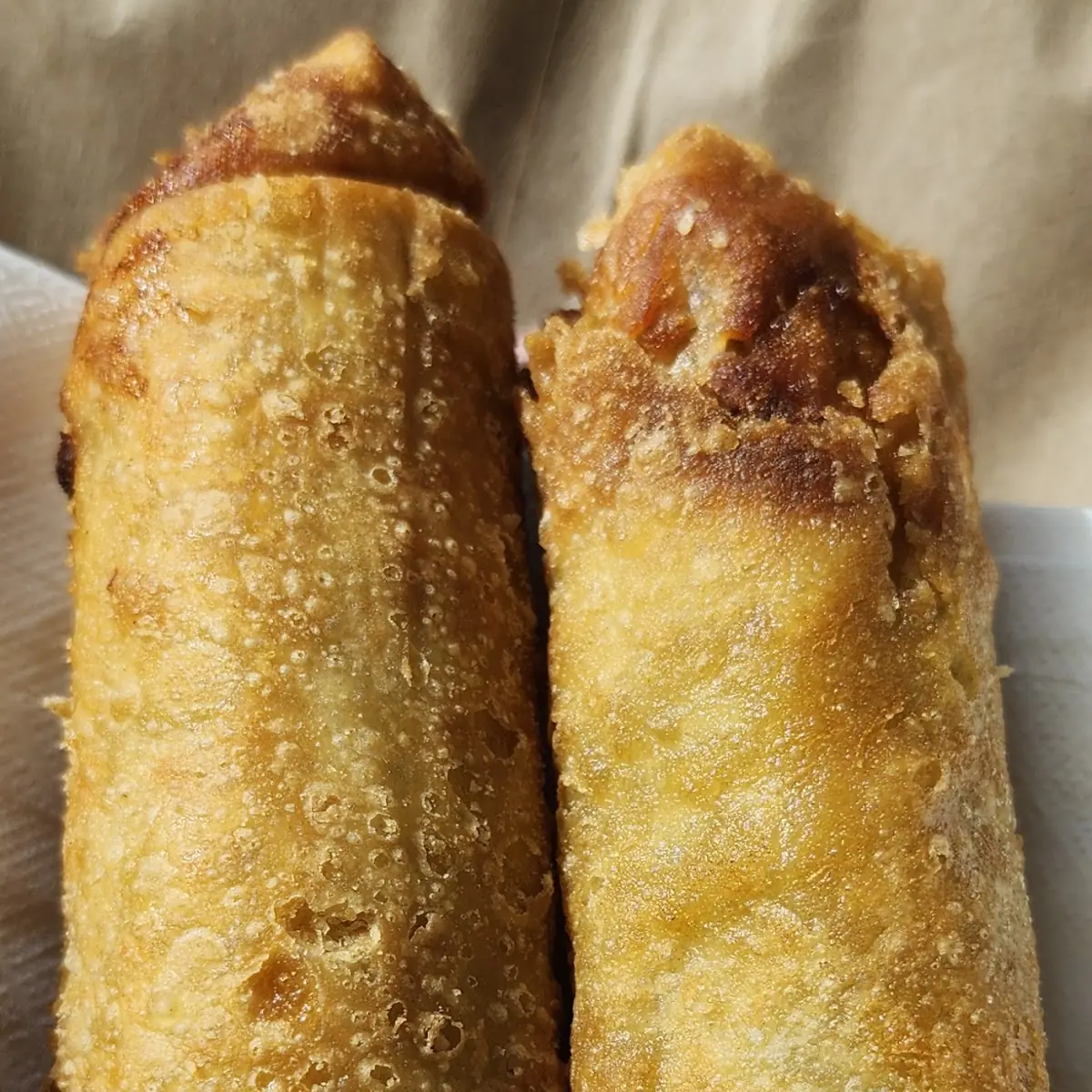 Vegetable Egg Roll 4