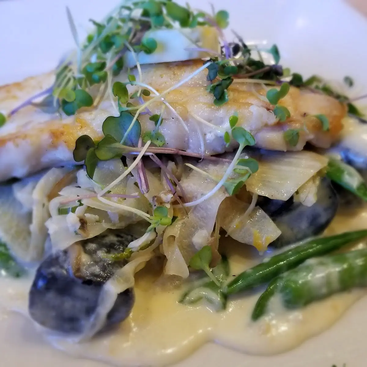 Sea Bass