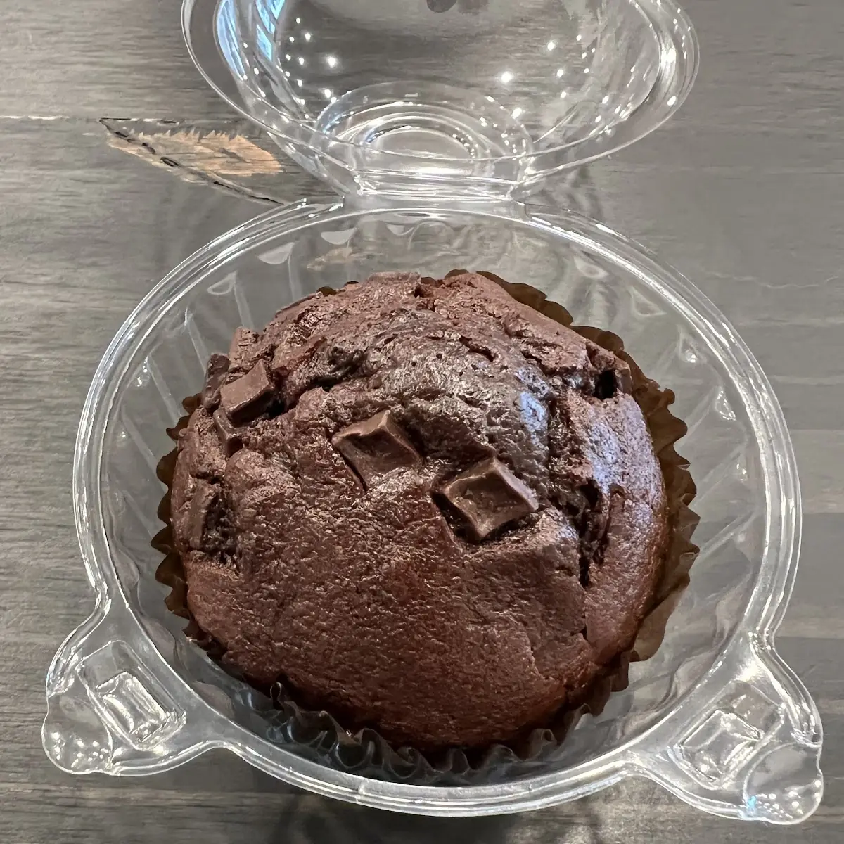 Chocolate Chip Muffin