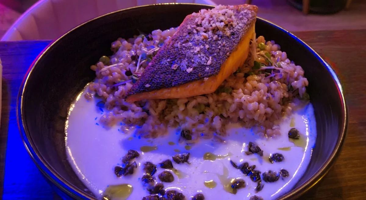Salmon, Boxer - Albertan Kitchen & Bar