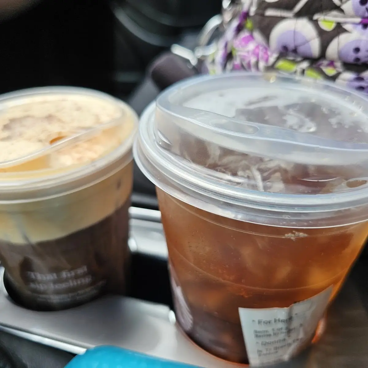 Pumpkin Creme Cold Brew & Unsweetened Iced Black Tea