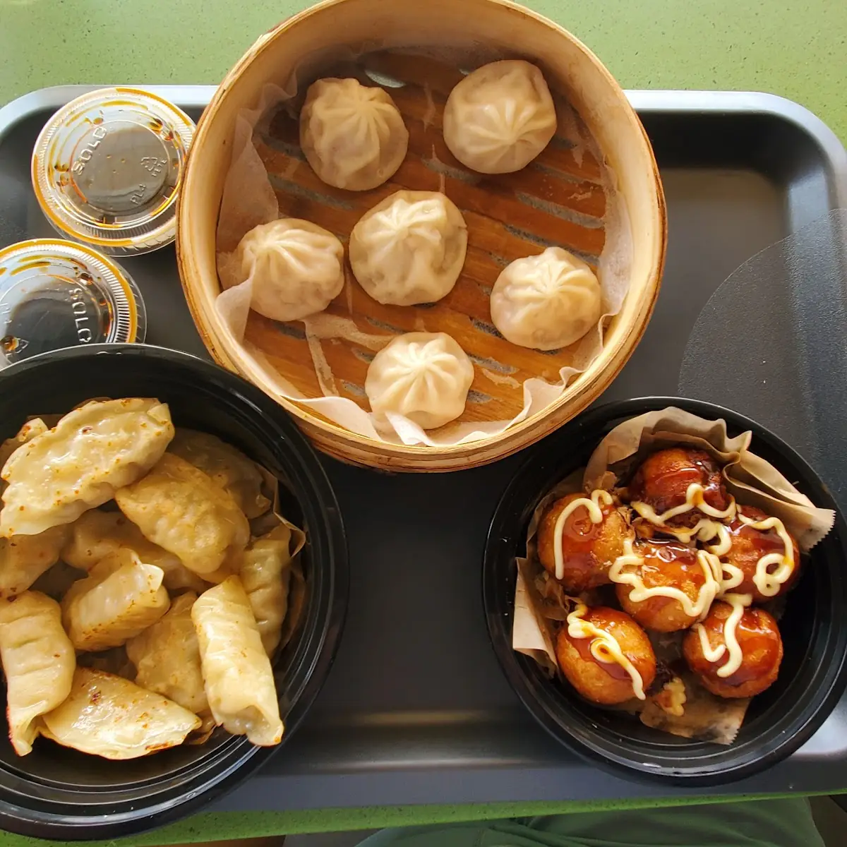 Fried Pork Dumplings