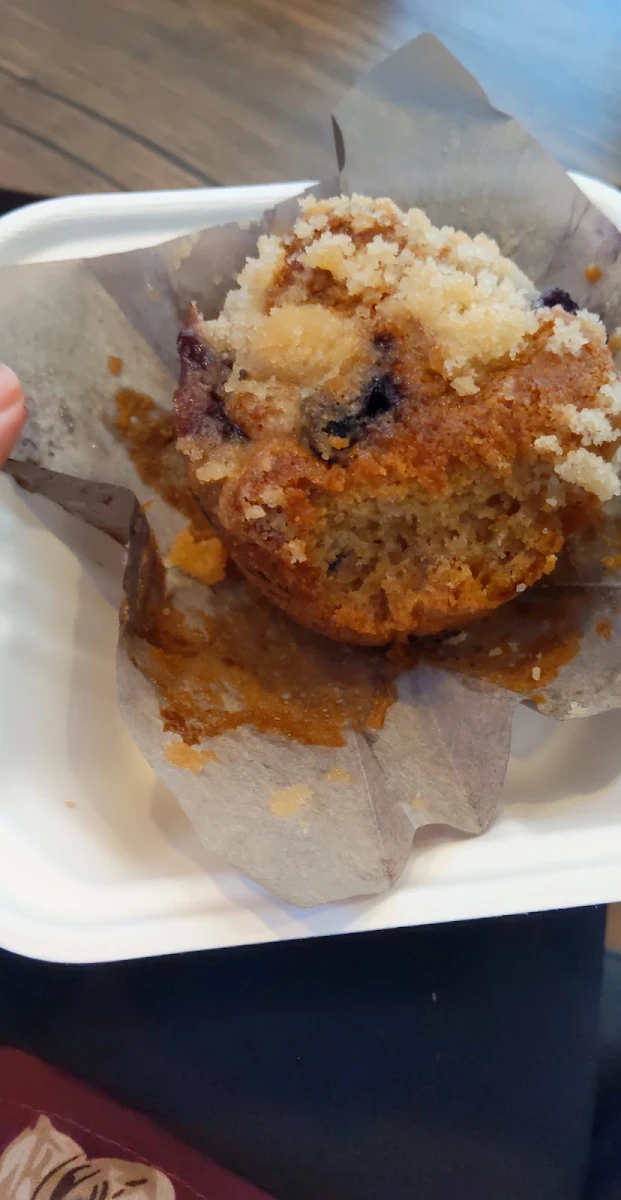 Blueberry Muffin