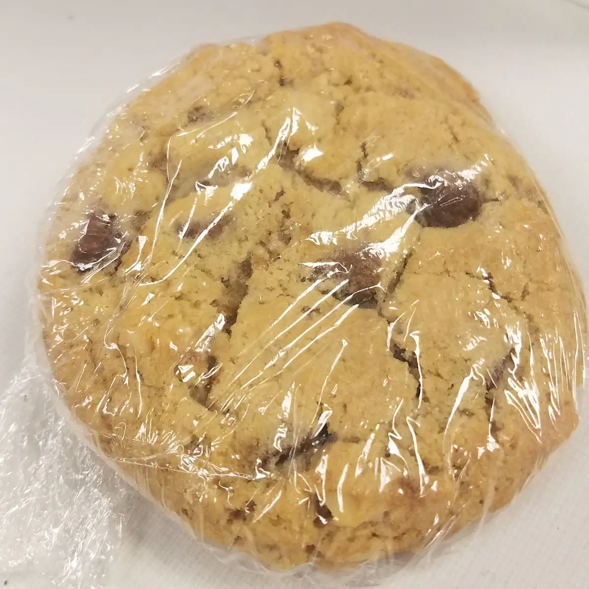 Chocolate Chip Cookie