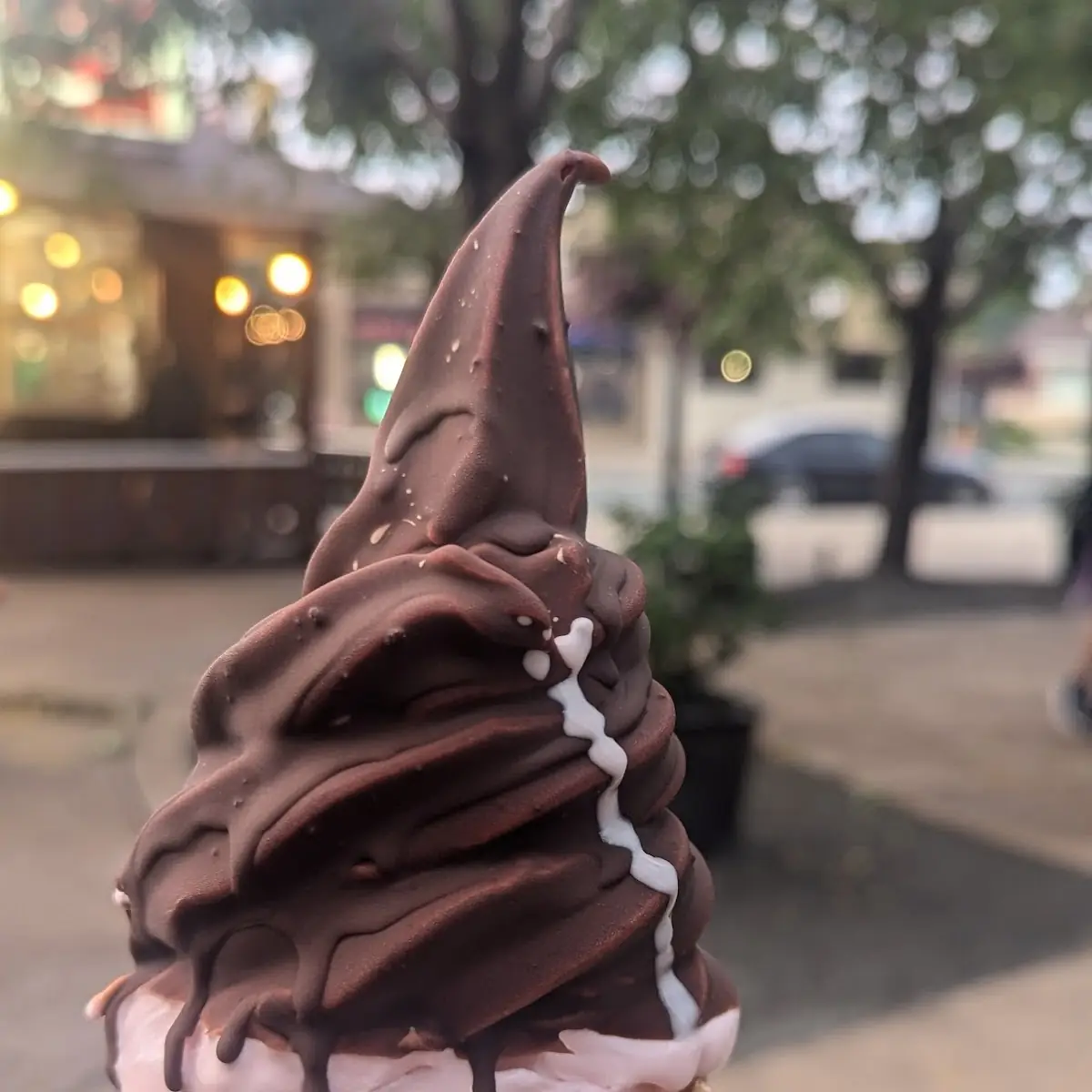 Raspberry Dipped in Chocolate