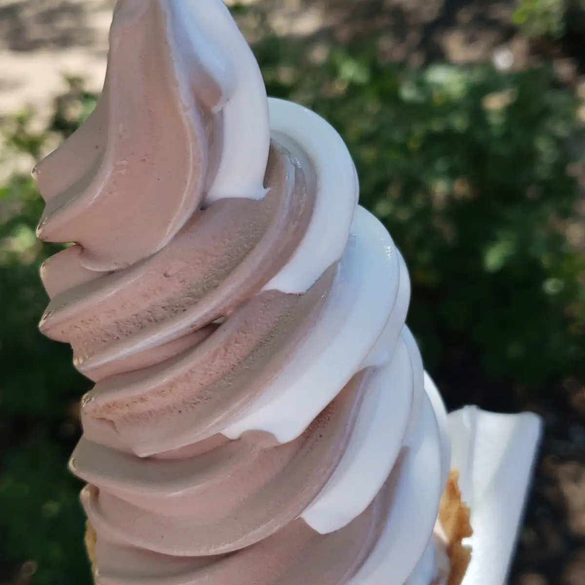 Vanilla and Chocolate Mix Waffle Cone