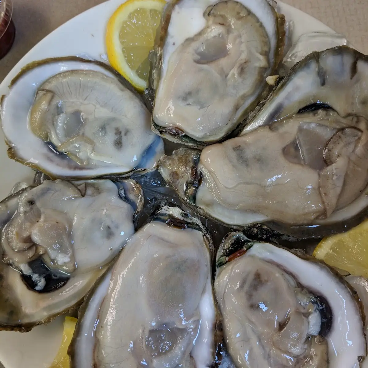 Oysters on the Half Shell