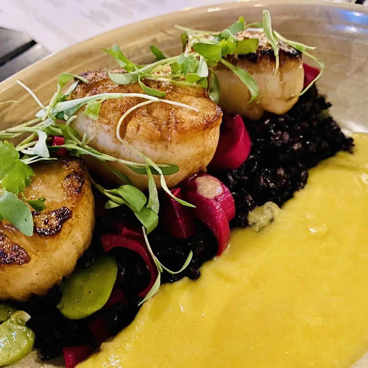 Seared Scallops Featured