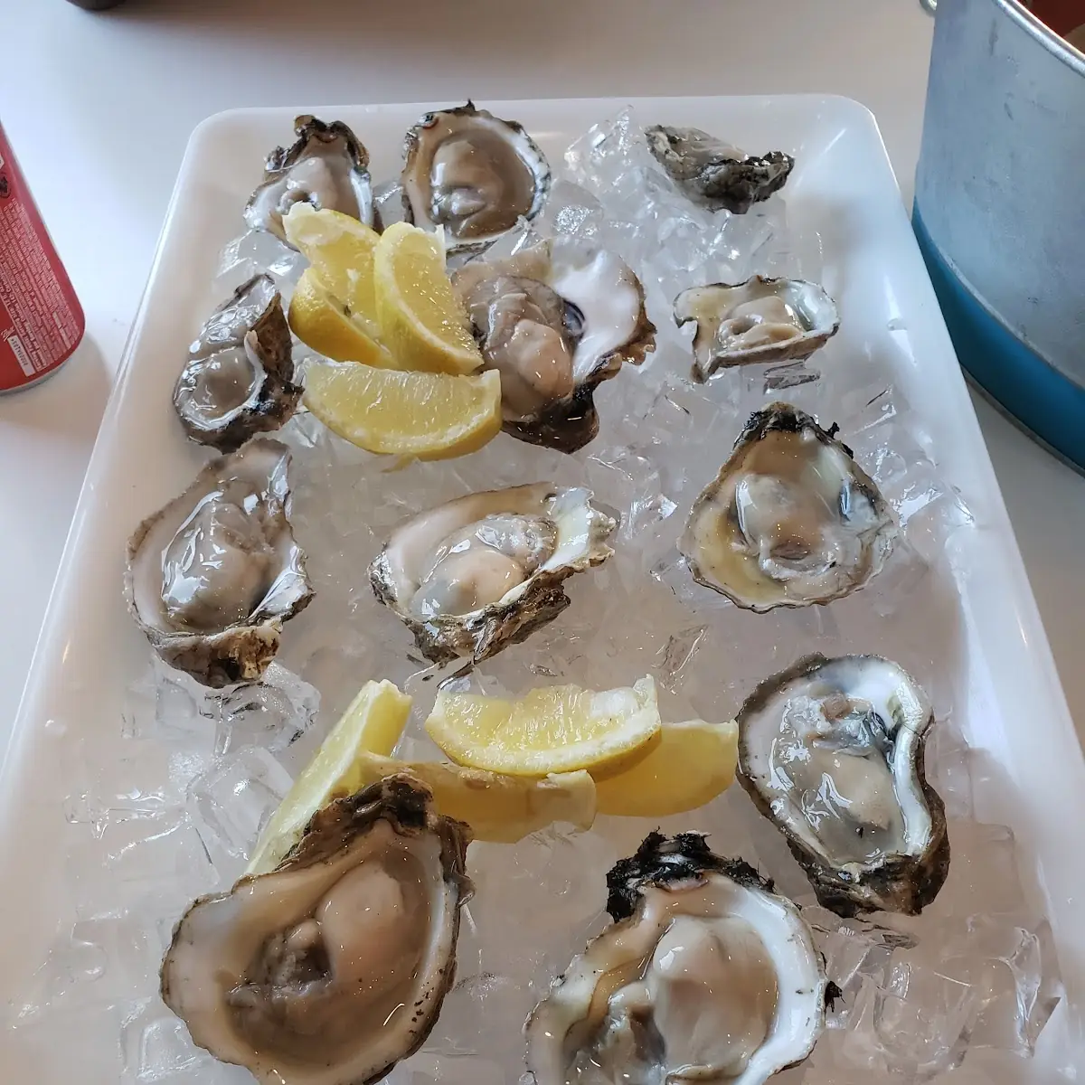 Raw Oysters