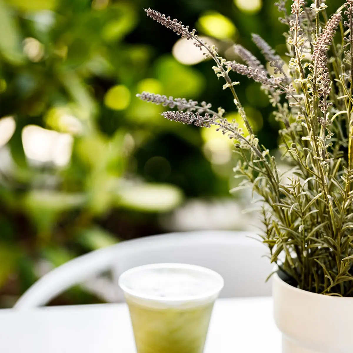 Matcha Latte
