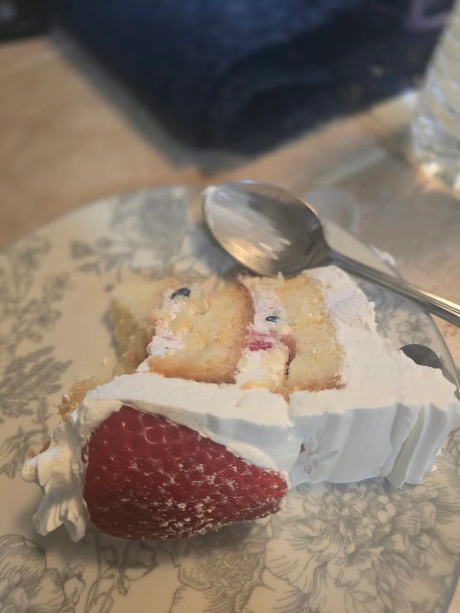 & Blueberry Layer Cake Slice