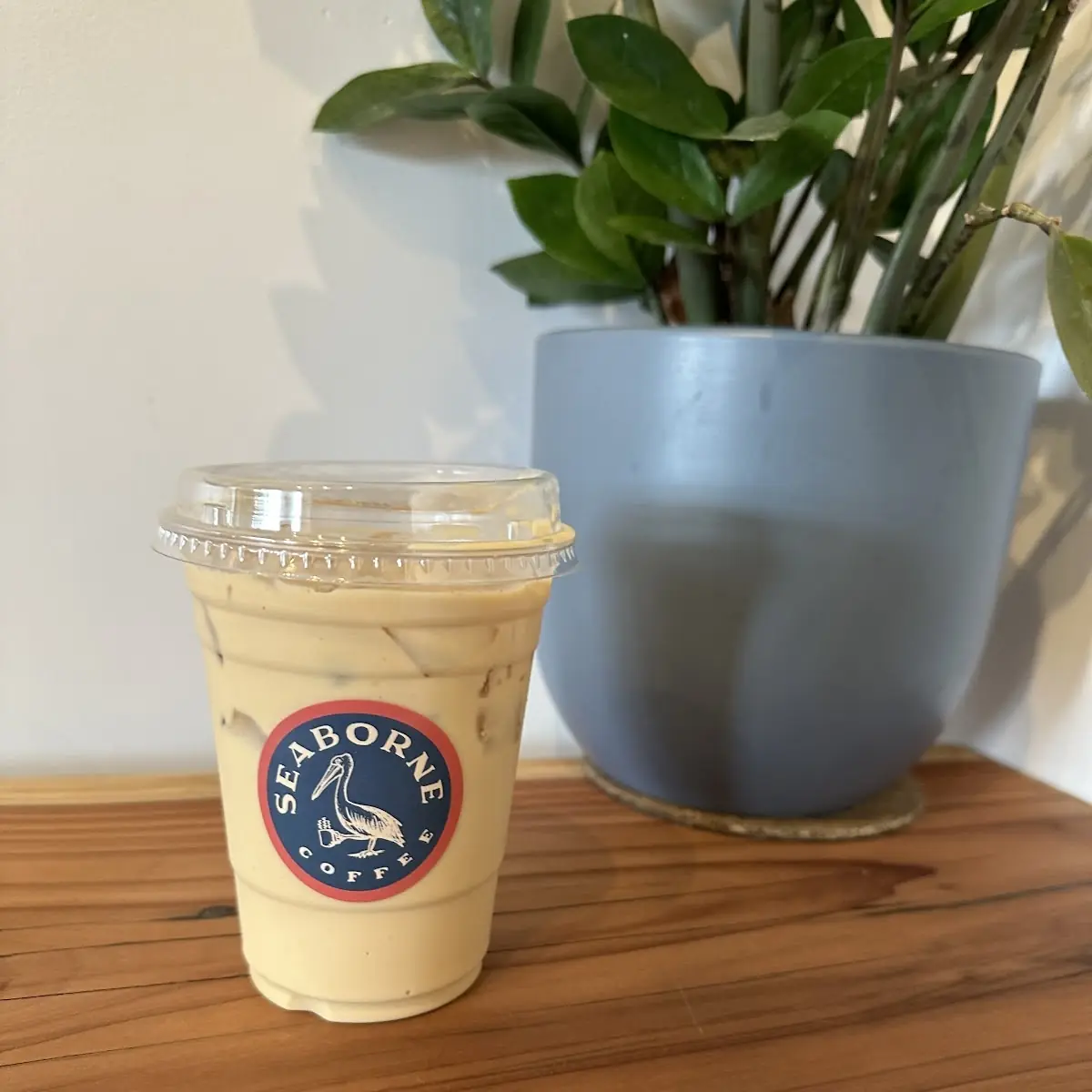 Iced Vanilla Mint Latte