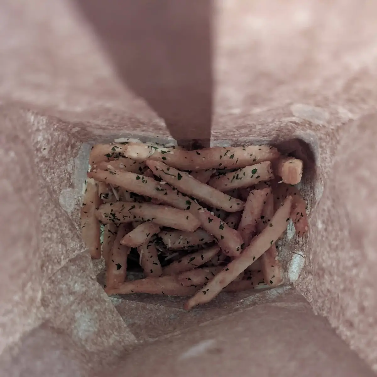 Seasoned Fries