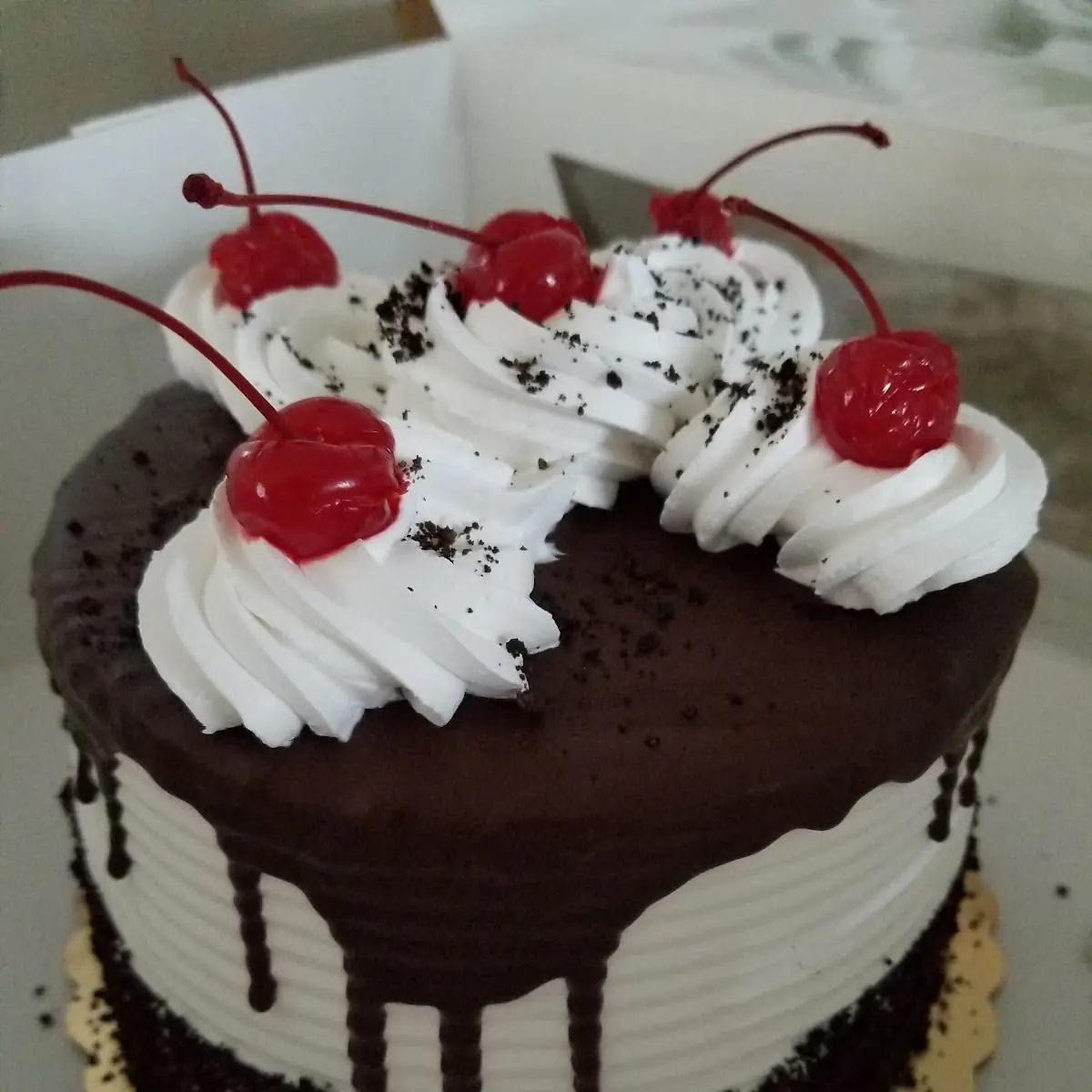 Birthday Cake Vanilla & Chocolate